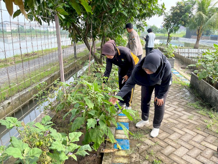 Aksi Nyata Polsek Krian bersama Pemdes dan Masyarakat Sukseskan Ketahanan Pangan di Lahan Bumdes
